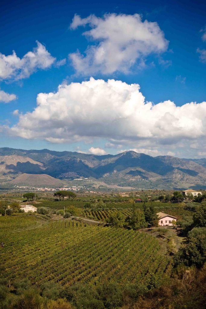 Cuciniamo insieme: cannolini per l'aperitivo - Panorama